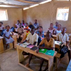 e99e02c1-3977-4252-90fa-dc2cf74d06de e99e02c1-3977-4252-90fa-dc2cf74d06de